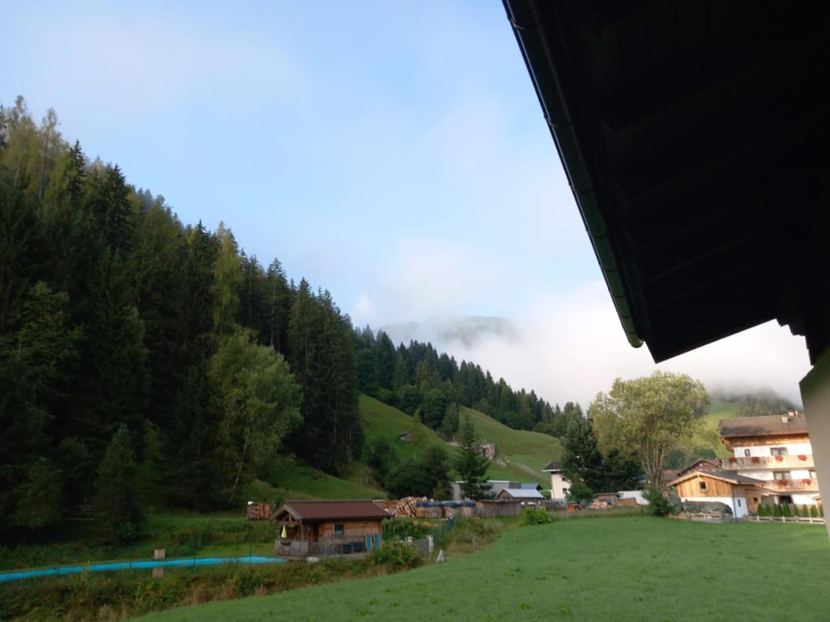 Oase Der Ruhe Apartment Hollersbach im Pinzgau Bagian luar foto